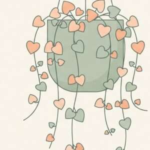 A string of hearts plant — Minimalist Poster