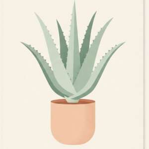 Aloe Vera — Minimalist Poster