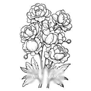 Peony Perfection