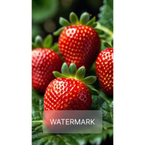 Strawberry Serenade